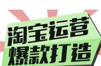 直通車智能推廣和標(biāo)準(zhǔn)推廣哪個(gè)好(淘寶直通車一鍵起量有